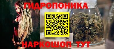 гидра Обь