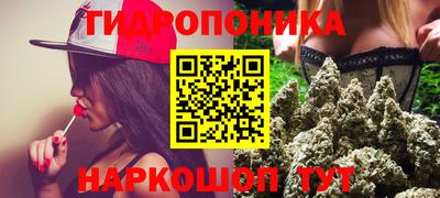 гидра Обь