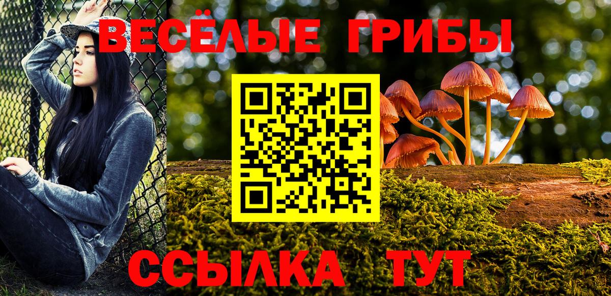 Галлюциногенные грибы Magic Shrooms Усинск
