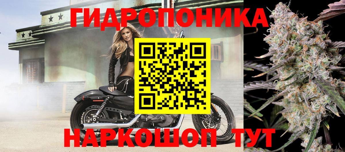 Шишки марихуана гибрид  Вход с VPN  Усинск  Марихуана Ganja  Марихуана планчик  Бошки марихуана OG Kush 